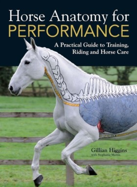 Horse Anat &hellip;