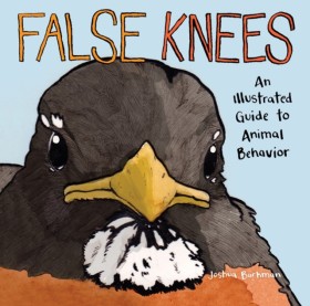 False Knee &hellip;