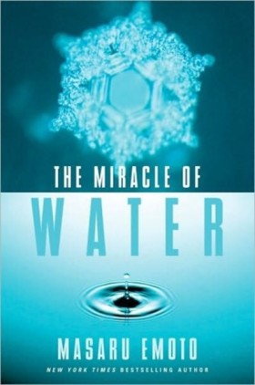 The Miracl &hellip;
