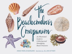 Beachcombe …