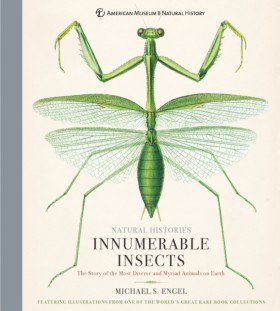 Innumerabl &hellip;