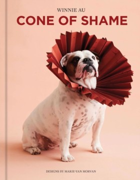 Cone of Sh &hellip;