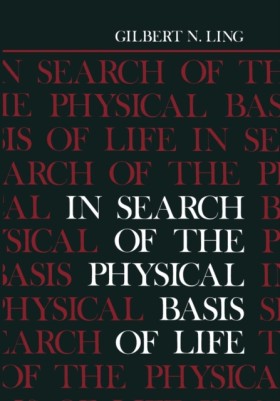 In Search …
