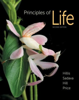 Principles …