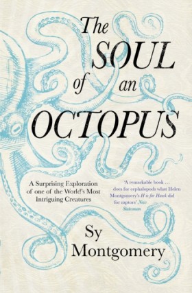 The Soul o &hellip;