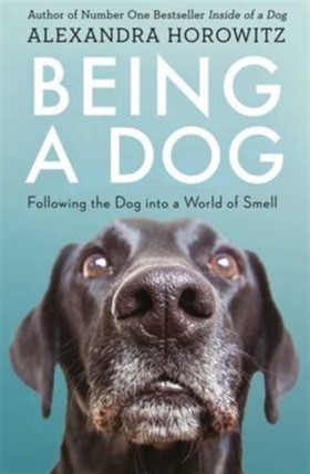 Being a Do …