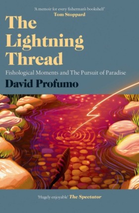 The Lightn &hellip;