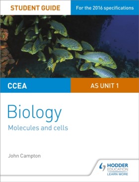CCEA AS Un …