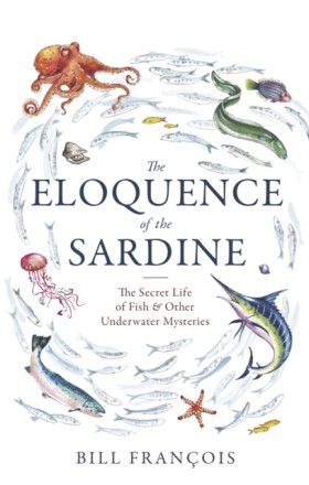 The Eloque &hellip;