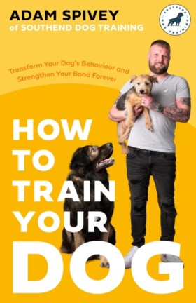 How to Tra &hellip;