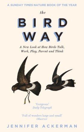 The Bird W &hellip;