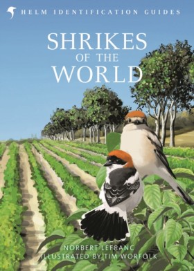 Shrikes of &hellip;