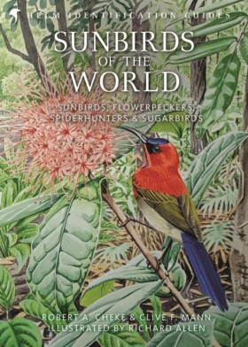Sunbirds o …