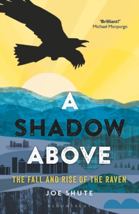 A Shadow A …