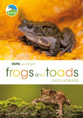 RSPB Spotl &hellip;