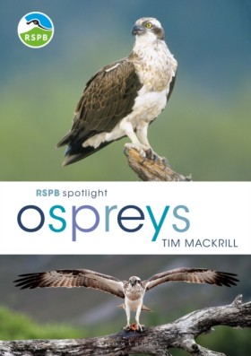 RSPB Spotl …