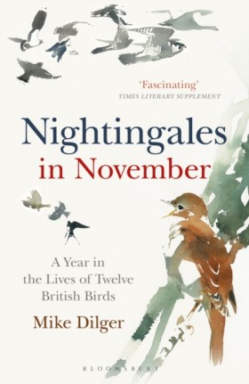 Nightingal …