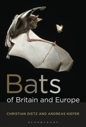 Bats of Br …