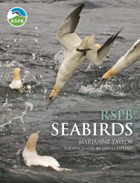 RSPB Seabi &hellip;