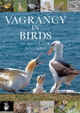 Vagrancy i &hellip;