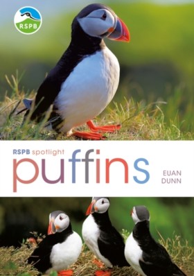 RSPB Spotl &hellip;