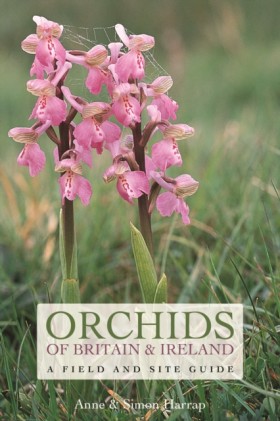 Orchids of …