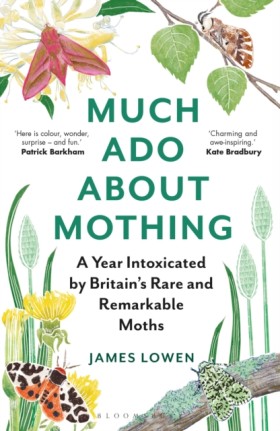 Much Ado A …