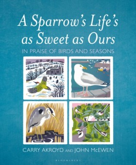 A Sparrows …