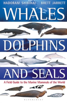 Whales, Do …