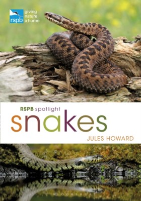 RSPB Spotl …