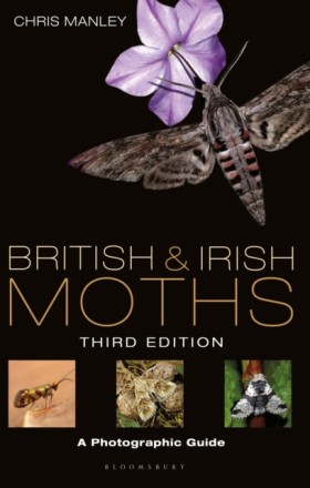 British an &hellip;