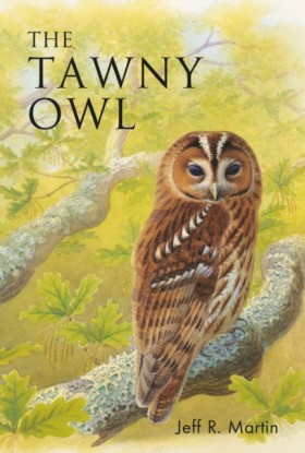 The Tawny &hellip;