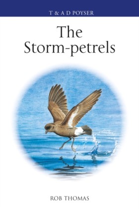 The Storm- &hellip;