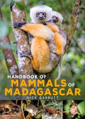 Handbook o &hellip;