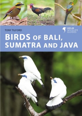 Birds of B …