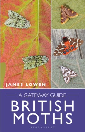 British Mo &hellip;