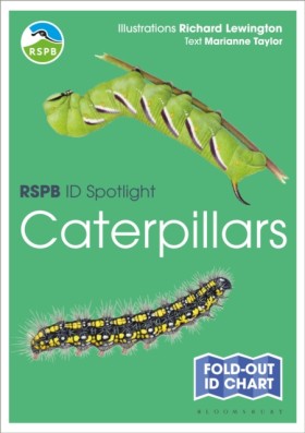 RSPB ID Sp …
