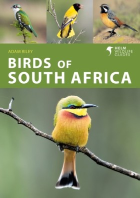 Birds of S &hellip;