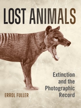 Lost Anima …