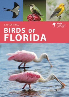 Birds of F &hellip;