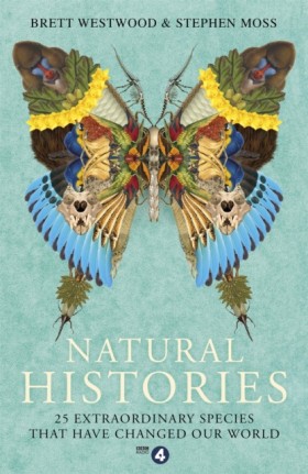 Natural Hi …