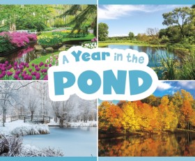 A Year in …