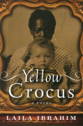 Yellow Cro &hellip;