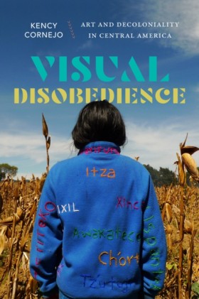 Visual Dis &hellip;