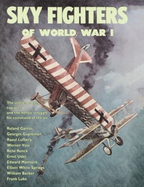Sky Fighte …