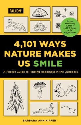 4,101 Ways …
