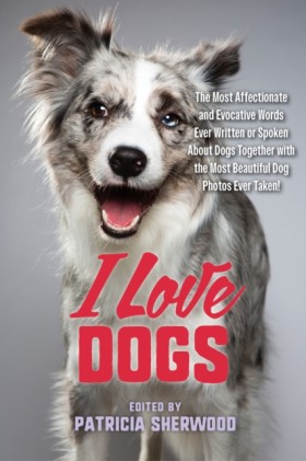 I Love Dog …