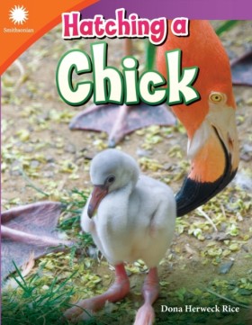 Hatching a &hellip;