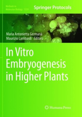 In Vitro E &hellip;