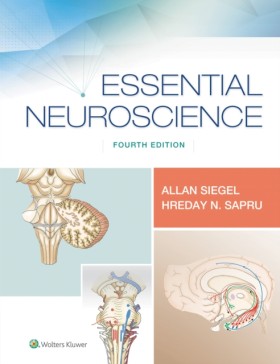 Essential &hellip;